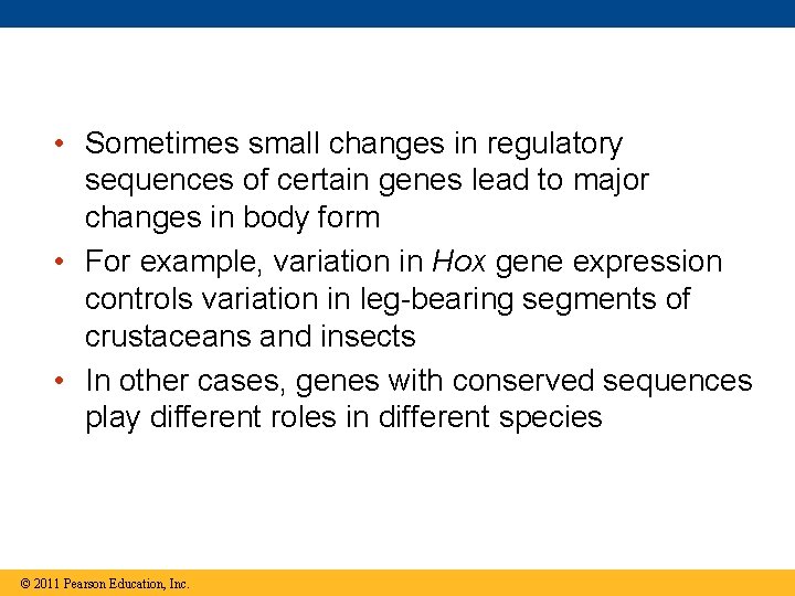  • Sometimes small changes in regulatory sequences of certain genes lead to major