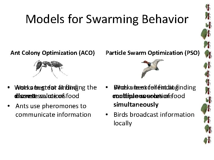 Models for Swarming Behavior Ant Colony Optimization (ACO) Particle Swarm Optimization (PSO) Ants are