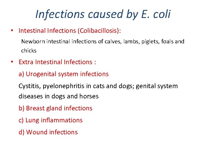 Infections caused by E. coli • Intestinal Infections (Colibacillosis): Newborn intestinal infections of calves,