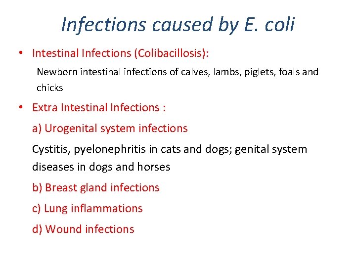 Infections caused by E. coli • Intestinal Infections (Colibacillosis): Newborn intestinal infections of calves, Infections caused by E. coli • Intestinal Infections (Colibacillosis): Newborn intestinal infections of calves,