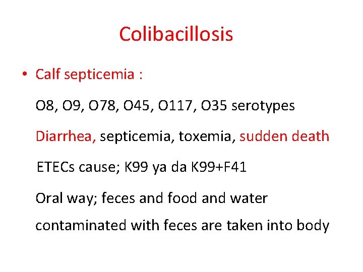 Colibacillosis • Calf septicemia : O 8, O 9, O 78, O 45, O