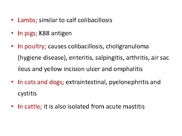 • Lambs; similar to calf colibacillosis • In pigs; K 88 antigen • • Lambs; similar to calf colibacillosis • In pigs; K 88 antigen •