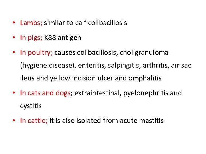  • Lambs; similar to calf colibacillosis • In pigs; K 88 antigen •