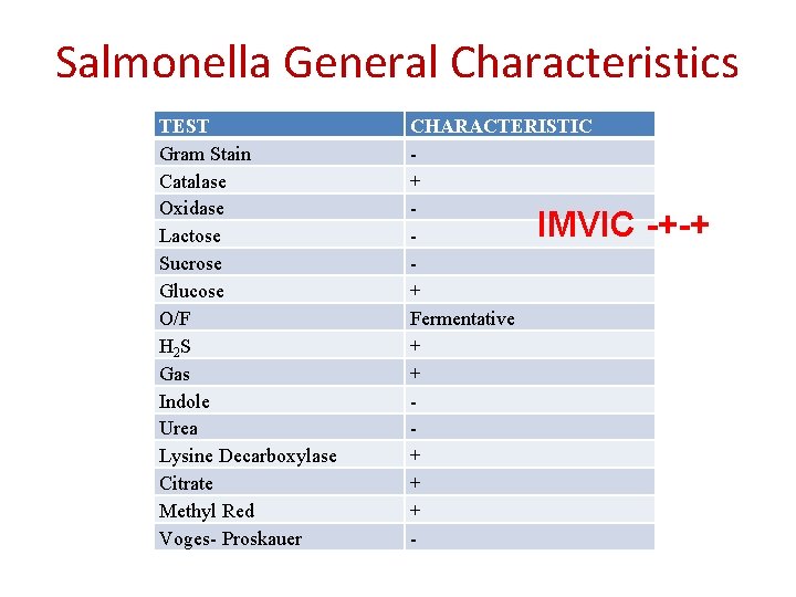 Salmonella General Characteristics TEST Gram Stain Catalase Oxidase Lactose Sucrose Glucose O/F H 2