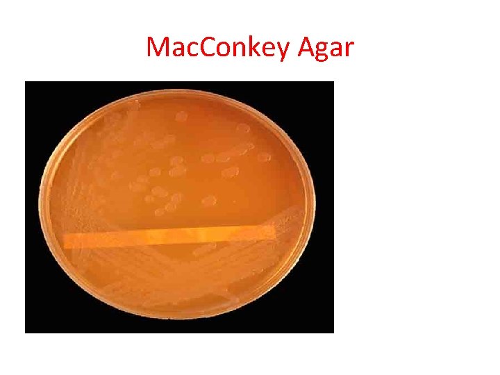 Mac. Conkey Agar Mac. Conkey Agar
