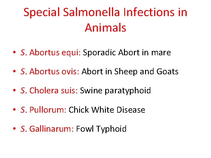 Special Salmonella Infections in Animals • S. Abortus equi: Sporadic Abort in mare •
