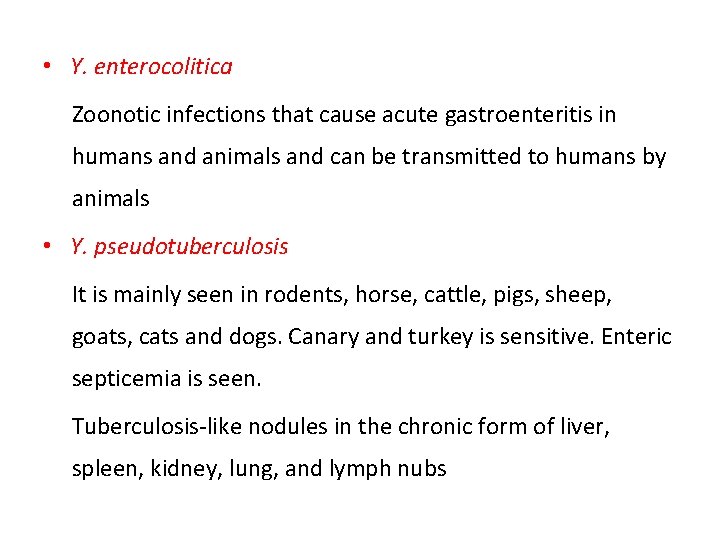 • Y. enterocolitica Zoonotic infections that cause acute gastroenteritis in humans and animals • Y. enterocolitica Zoonotic infections that cause acute gastroenteritis in humans and animals