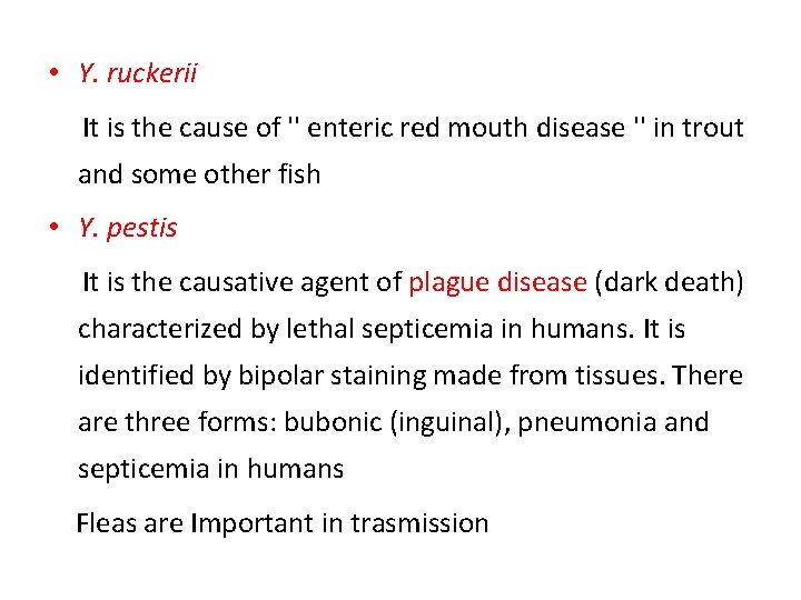  • Y. ruckerii It is the cause of '' enteric red mouth disease