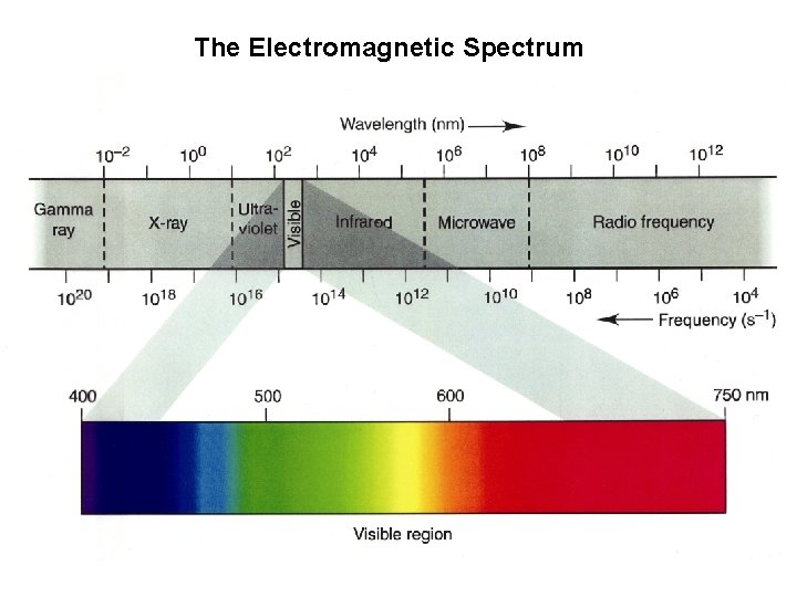 The Electromagnetic Spectrum 