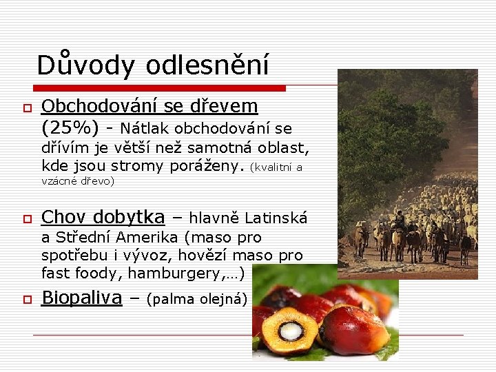 Důvody odlesnění o Obchodování se dřevem (25%) - Nátlak obchodování se dřívím je větší