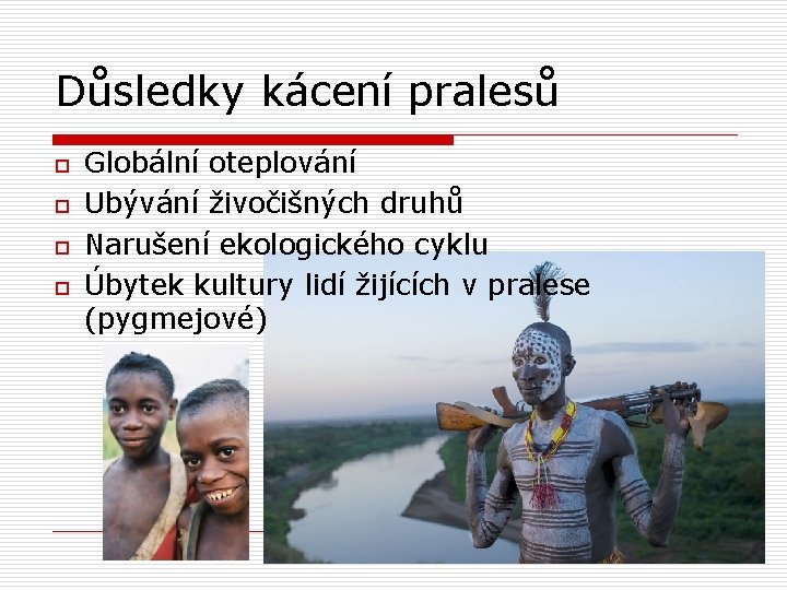 Důsledky kácení pralesů o o Globální oteplování Ubývání živočišných druhů Narušení ekologického cyklu Úbytek