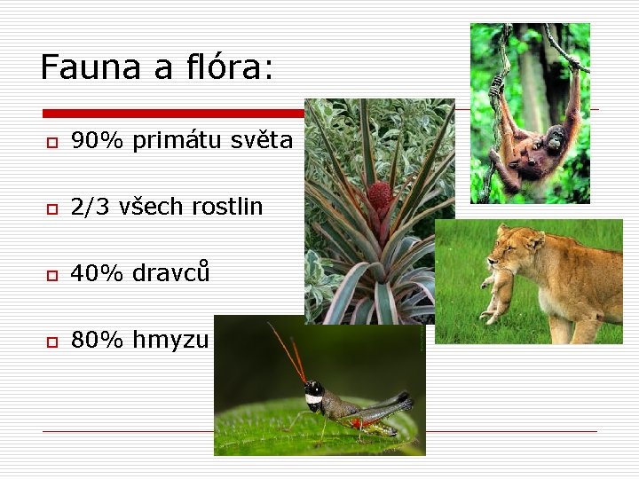 Fauna a flóra: o 90% primátu světa o 2/3 všech rostlin o 40% dravců