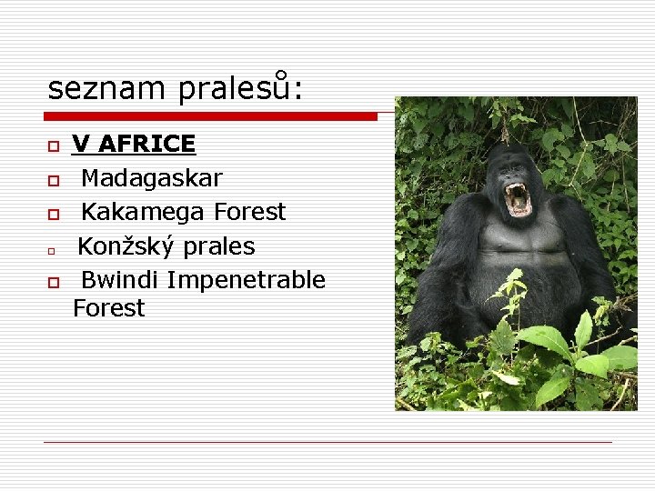 seznam pralesů: o o o V AFRICE Madagaskar Kakamega Forest Konžský prales Bwindi Impenetrable