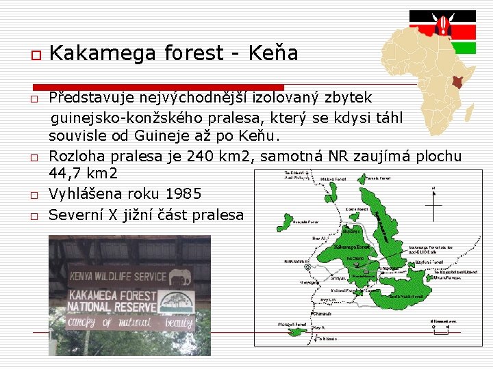 o o o Kakamega forest - Keňa Představuje nejvýchodnější izolovaný zbytek guinejsko-konžského pralesa, který