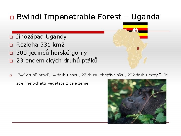 o o o Bwindi Impenetrable Forest – Uganda Jihozápad Ugandy Rozloha 331 km 2