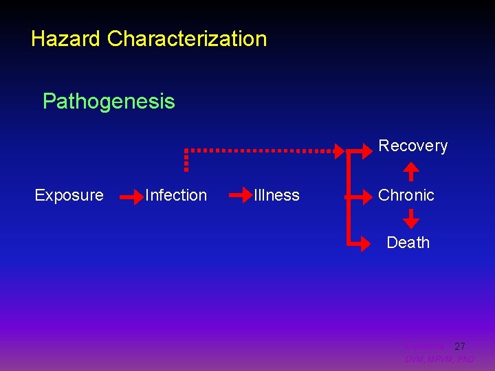 Hazard Characterization Pathogenesis Recovery Exposure Infection Illness Chronic Death Suphachai 27 DVM, MPVM, Ph.