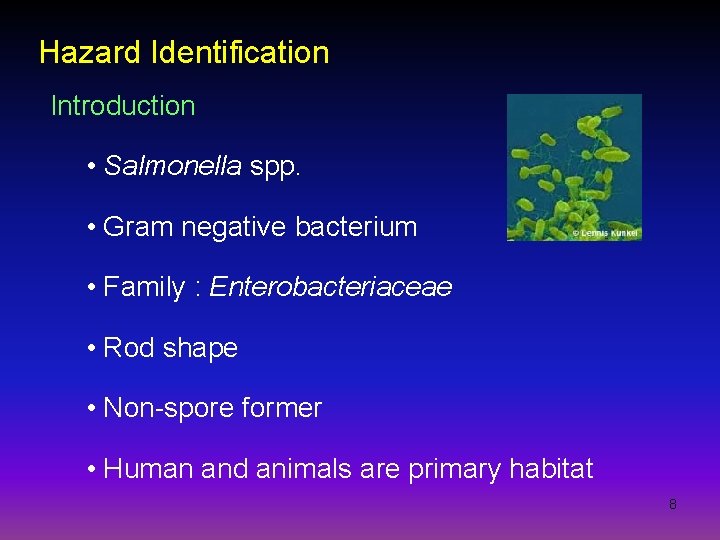 Hazard Identification Introduction • Salmonella spp. • Gram negative bacterium • Family : Enterobacteriaceae