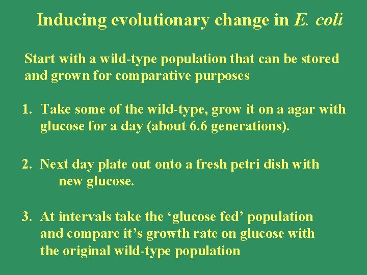 Inducing evolutionary change in E. coli Start with a wild-type population that can be