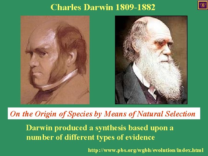 Charles Darwin 1809 -1882 On the Origin of Species by Means of Natural Selection