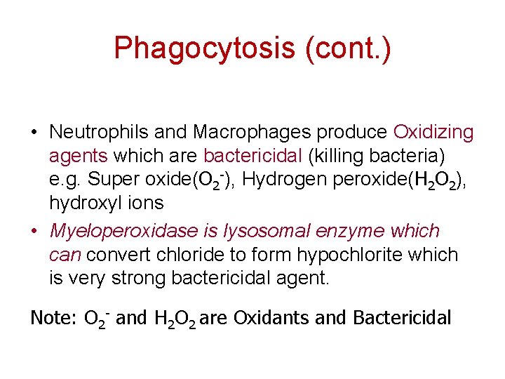 Phagocytosis (cont. ) • Neutrophils and Macrophages produce Oxidizing agents which are bactericidal (killing