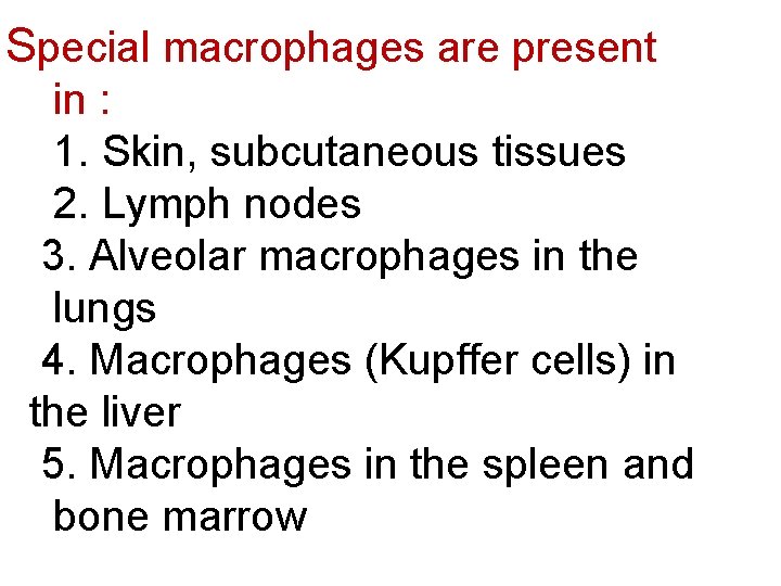 Special macrophages are present in : 1. Skin, subcutaneous tissues 2. Lymph nodes 3.