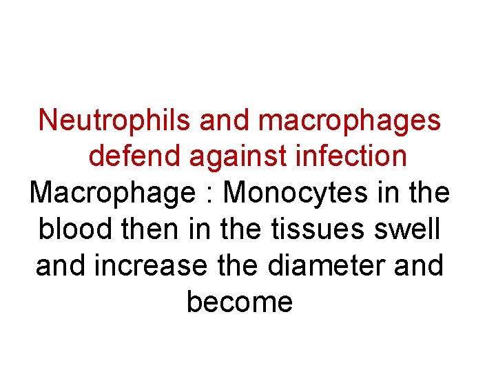 Neutrophils and macrophages defend against infection Macrophage : Monocytes in the blood then in