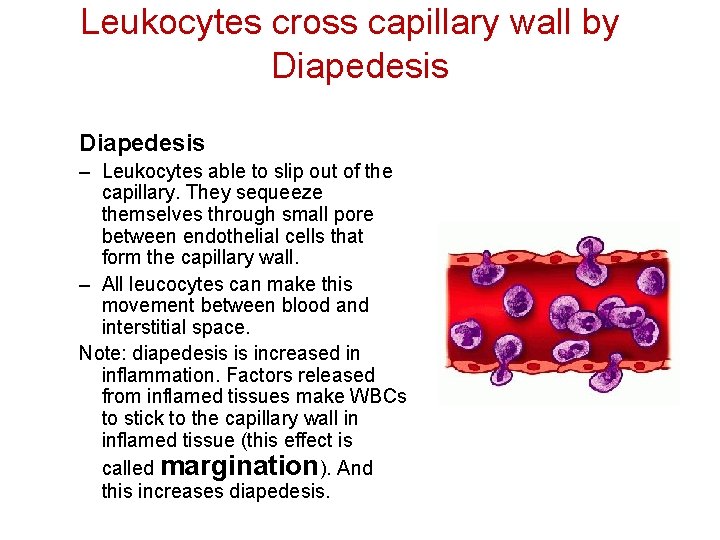 Leukocytes cross capillary wall by Diapedesis – Leukocytes able to slip out of the