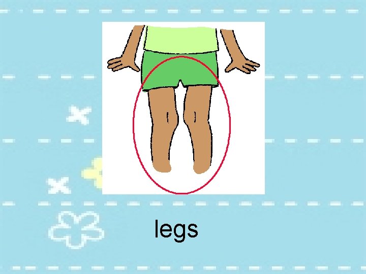legs 