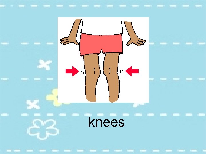 knees 