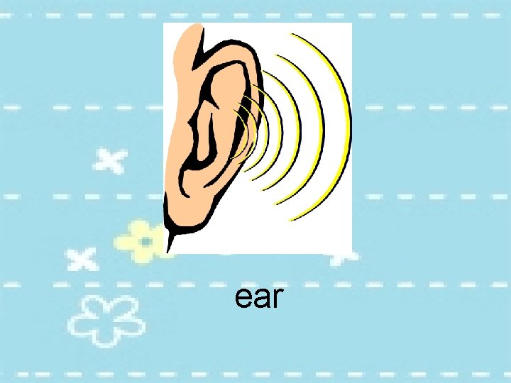 ear 