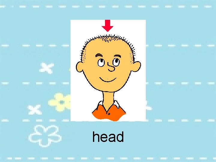 head 