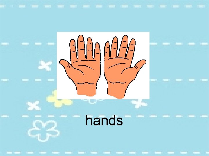 hands 