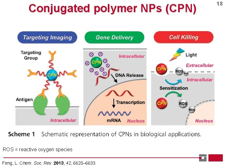 Conjugated polymer NPs (CPN) ROS = reactive oxygen species Feng, L. Chem. Soc. Rev.