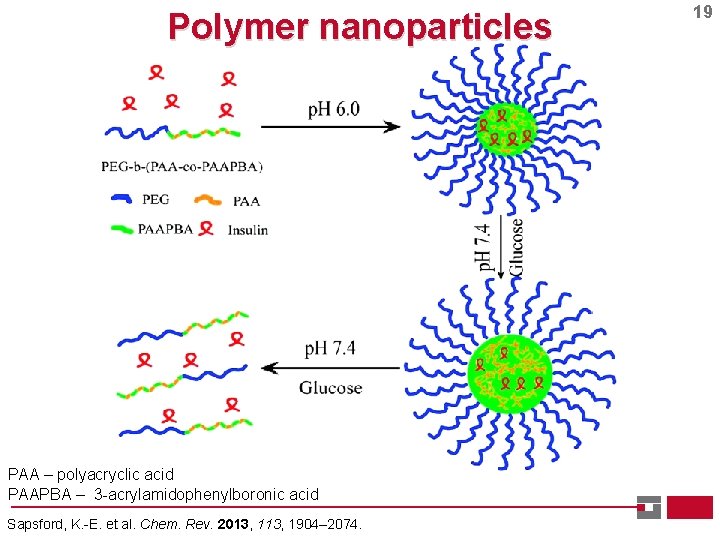 Polymer nanoparticles PAA – polyacryclic acid PAAPBA – 3 -acrylamidophenylboronic acid Sapsford, K. -E.