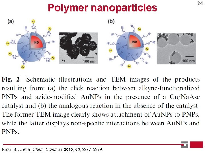 Polymer nanoparticles Krovi, S. A. et al. Chem. Commun. 2010, 46, 5277– 5279. 24