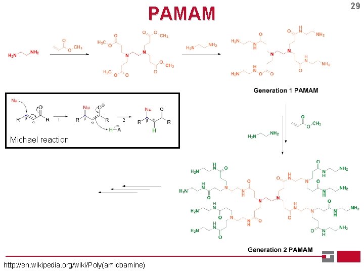 PAMAM Michael reaction http: //en. wikipedia. org/wiki/Poly(amidoamine) 29 