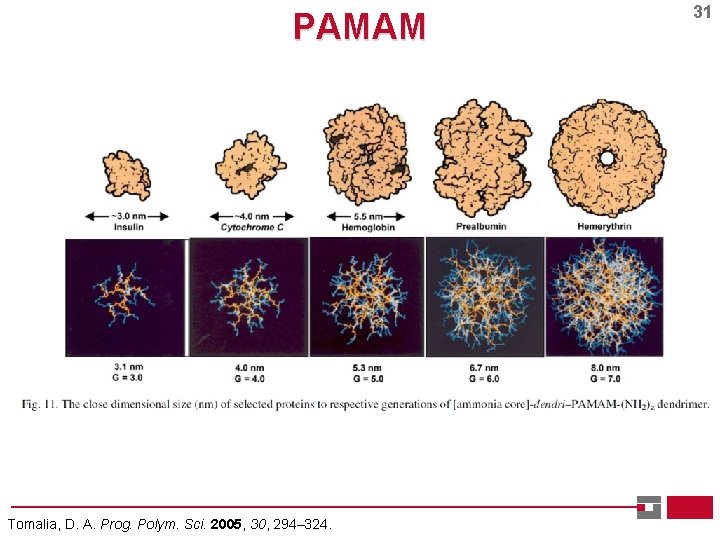 PAMAM Tomalia, D. A. Prog. Polym. Sci. 2005, 30, 294– 324. 31 