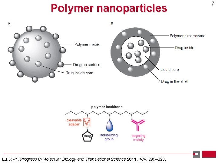 Polymer nanoparticles Lu, X. -Y. Progress in Molecular Biology and Translational Science 2011, 104,