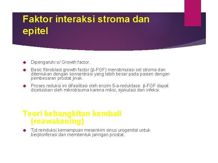 Faktor interaksi stroma dan epitel Dipengaruhi o/ Growth factor. Basic fibroblast growth factor (