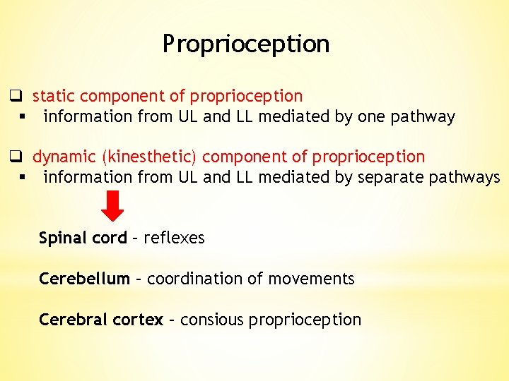 Proprioception q static component of proprioception § information from UL and LL mediated by