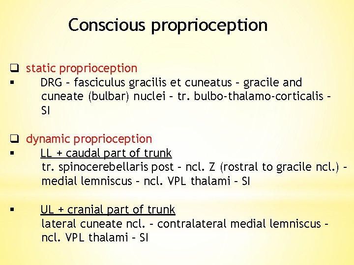 Conscious proprioception q static proprioception § DRG – fasciculus gracilis et cuneatus – gracile