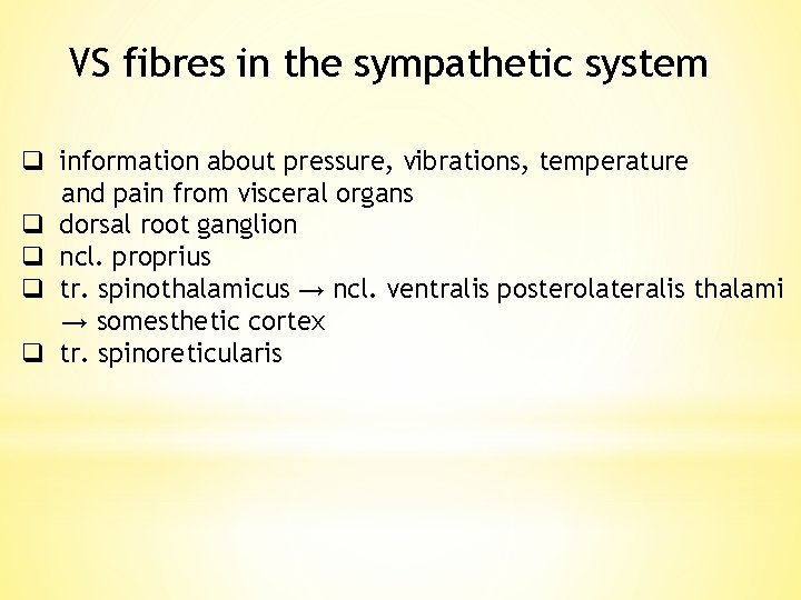 VS fibres in the sympathetic system q information about pressure, vibrations, temperature and pain