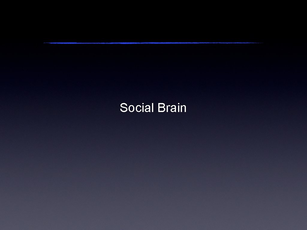 Social Brain 