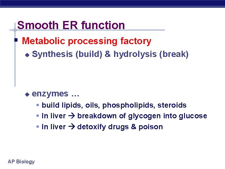 Smooth ER function § Metabolic processing factory u Synthesis (build) & hydrolysis (break) u