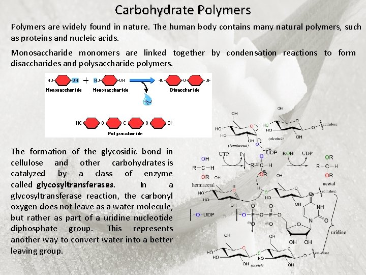 Carbohydrate Polymers are widely found in nature. The human body contains many natural polymers,