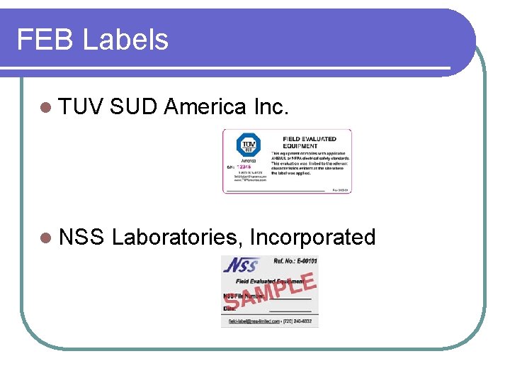 FEB Labels l TUV SUD America Inc. l NSS Laboratories, Incorporated 