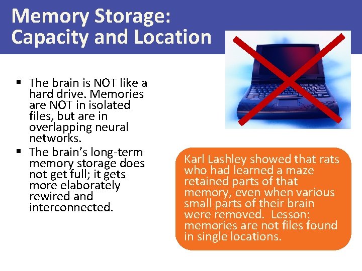 Memory Storage: Capacity and Location § The brain is NOT like a hard drive.