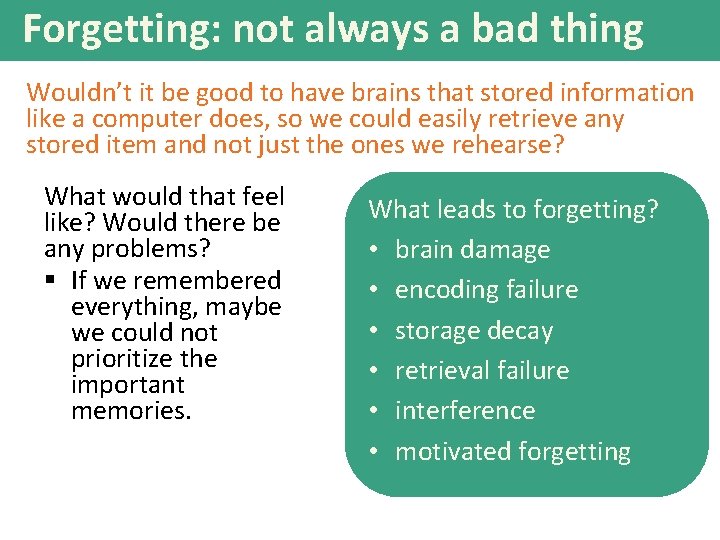 Forgetting: not always a bad thing Wouldn’t it be good to have brains that