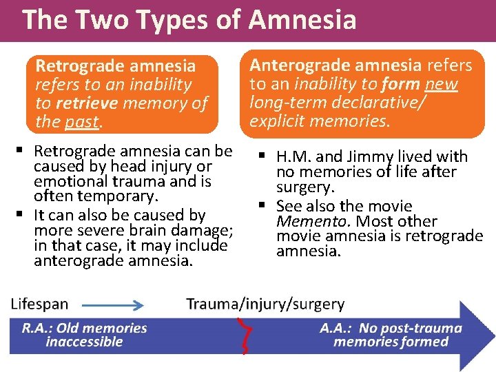 The Two Types of Amnesia Retrograde amnesia refers to an inability to retrieve memory