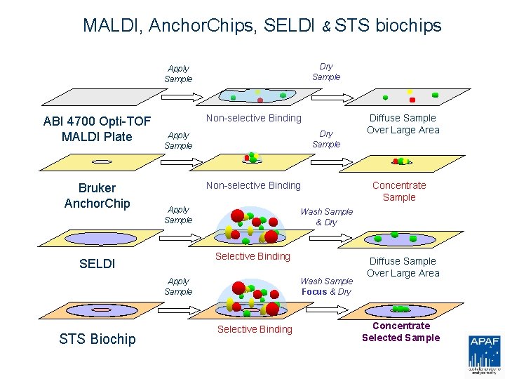 MALDI, Anchor. Chips, SELDI & STS biochips Dry Sample Apply Sample ABI 4700 Opti-TOF